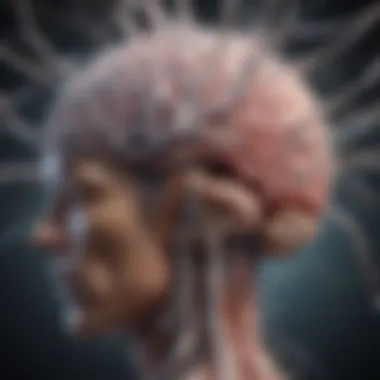 Neuroplasticity and Cognitive Flexibility Illustration depicting the intricate network of neural connections in the brain