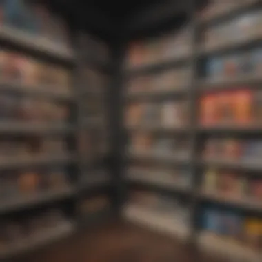 A collector organizing their Nintendo merchandise.