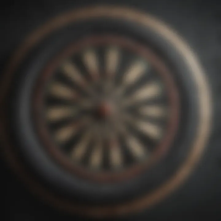 Diverse dartboards showcasing game variations