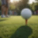 A group of golfers enjoying a sunny day on the green