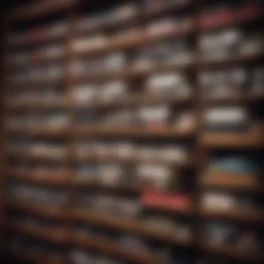 A collection of vintage NES cartridges displayed on a wooden shelf showcasing their unique designs.