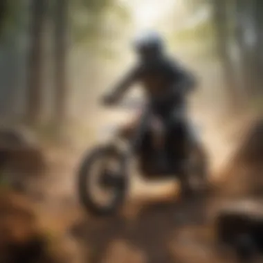 Detailed graphics showcasing the realistic dirt bike gaming environment