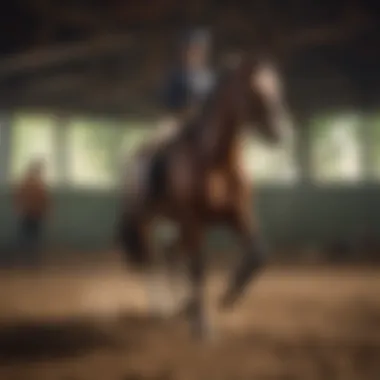 Glimpse into Equine Training Session