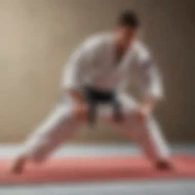 Mastering the Judo Techniques