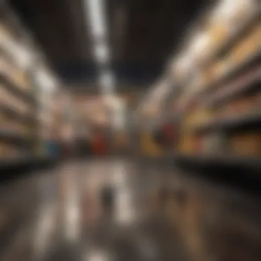 Revolutionizing Online Shopping Enhancing online shopping experience with promo codes