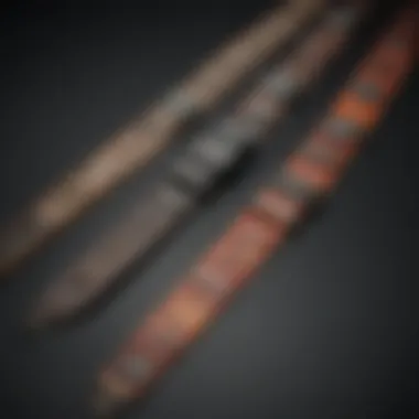 Tracing the Evolutionary Path Nintendo Strap Evolution Timeline