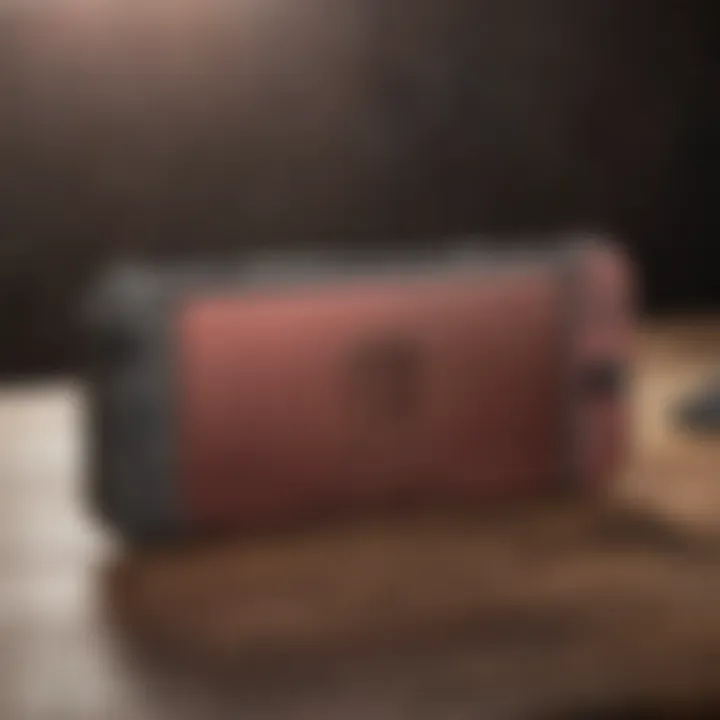 Sleek and Stylish Nintendo Switch Case in Metallic Finish