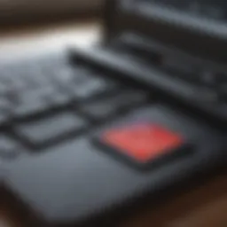 SD card connected to a laptop