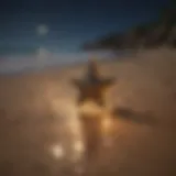 Star fragments scattered across a beach at night