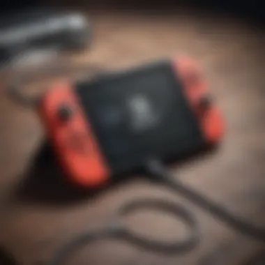 Connecting Accessories via USB to Nintendo Switch Demonstrating USB connection options for accessories